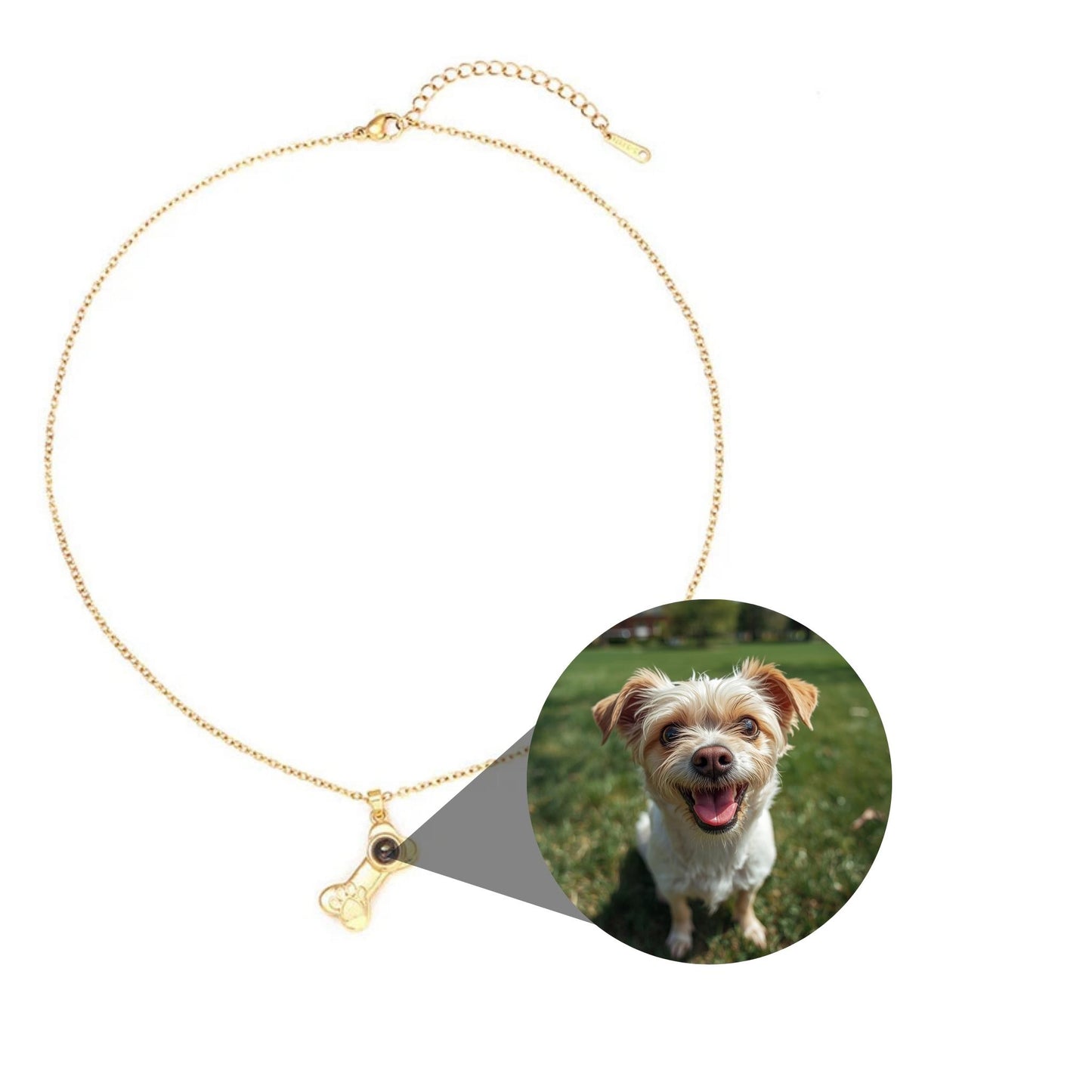 Petstom™ Bone Photo Necklace