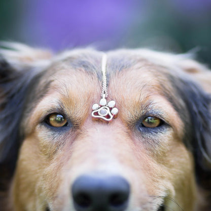 Paw Print Memory Pendant